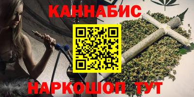 сатива Новозыбков