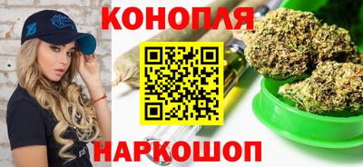 сатива Новозыбков