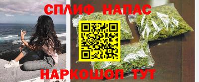сатива Новозыбков