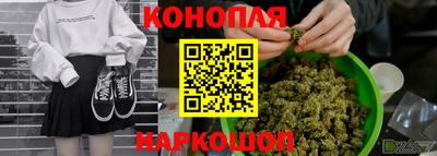сатива Новозыбков