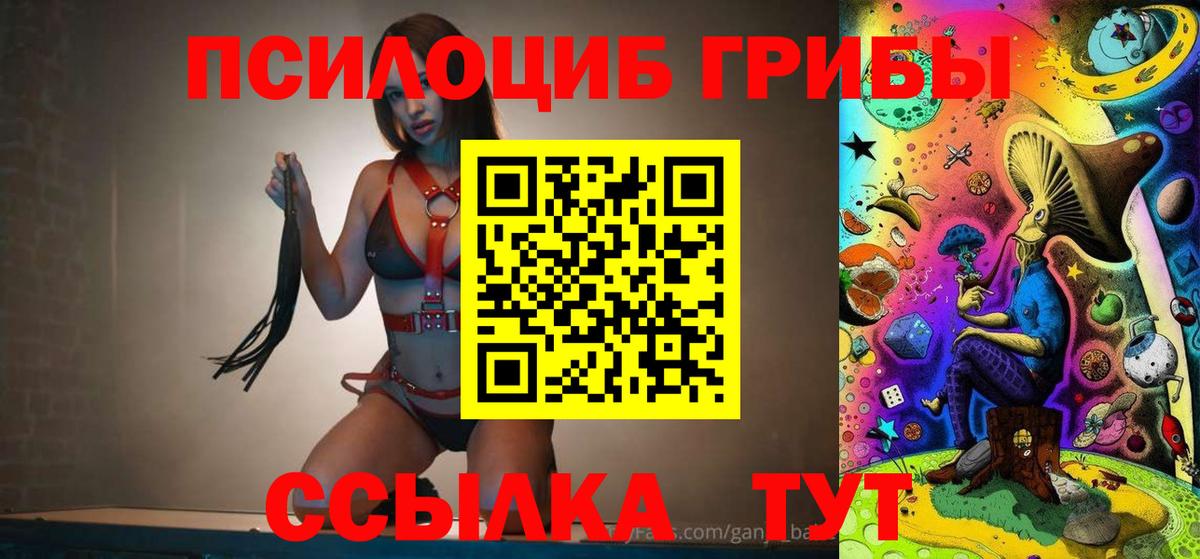 Солнечногорск  Псилоцибиновые грибы Cubensis  Вход с VPN  Галлюциногенные грибы MAGIC MUSHROOMS 