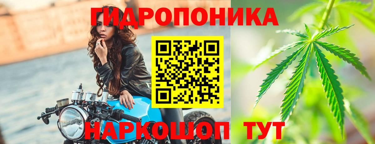 Шишки марихуана White Widow Солнечногорск
